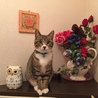 の写真