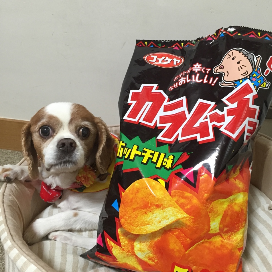 ラブのカバー写真