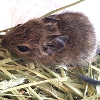 孝太郎（通称タロウ）}