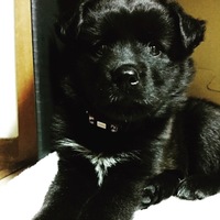 のあ