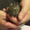 今日来たのに、もう、外で遊んでます。