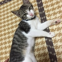 れお