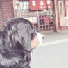 高山ラ〜メン！？▽・x・▽