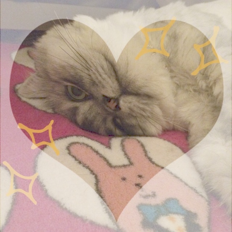 りおのカバー写真