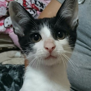 緊急！！助けてください