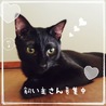 急募‼︎クロ猫さんとヒゲ猫さん サムネイル2