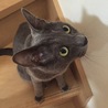 の写真