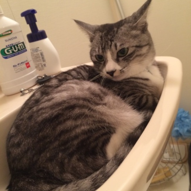 りな0703のカバー写真