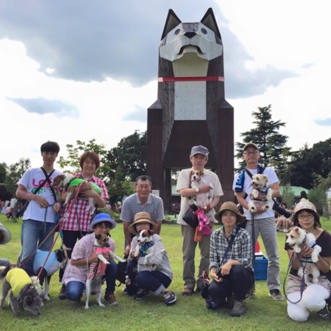 ぶるーしおんのカバー写真