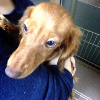 応募を締め切らせていただきます。