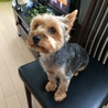 おねだりの際は背筋ピーん(^◇^;)