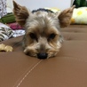 ふてくされてます(^◇^;)