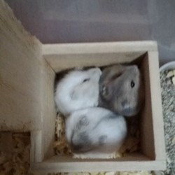 「大人への一歩、乳離れ」サムネイル1