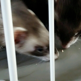 可愛がってくれる方募集です！！