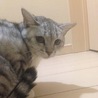 ゆうびょん