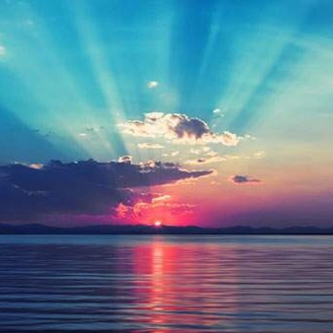 Nyara 1 SAVE (ニャラワン セーブ)のカバー写真