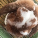 宜しくお願いします