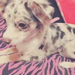 たくさんのご希望ありがとうございます！