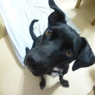 ついに、素敵な家族とめぐり会えました！