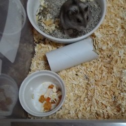 「久々の来夢さん☆」サムネイル1