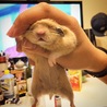 TEOさん