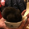 エサはお家より、手の上の方が安心して食べてくれるんだけど…^^;