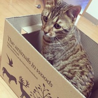 ナナシ