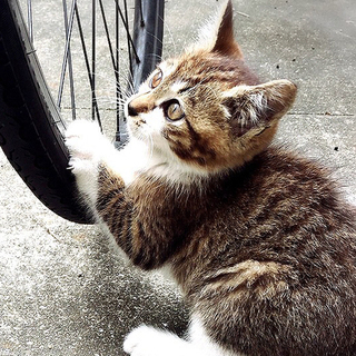 靴下をはいてる元気な女の子