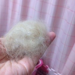 「10.15」サムネイル2