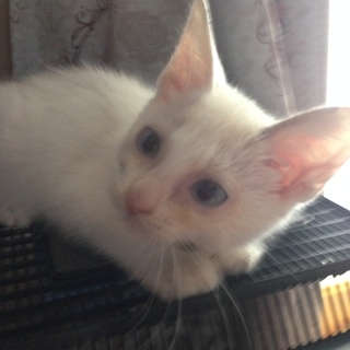 新規投稿した方へ応募して下さい