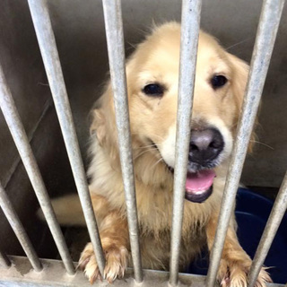 ありがとうございました。