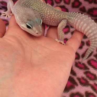 手の上がおちつくなあ〜あったかいなあ〜