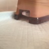 ザ・シェルター なう