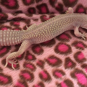 ちょっとお散歩