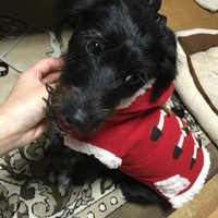 ナナ