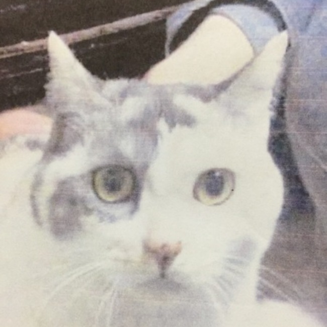 magon1205のカバー写真