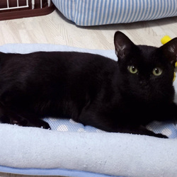 ロンくん 生後6ヶ月