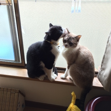 の写真