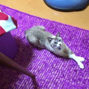 の写真