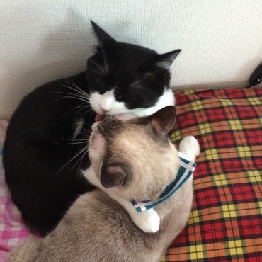 の写真