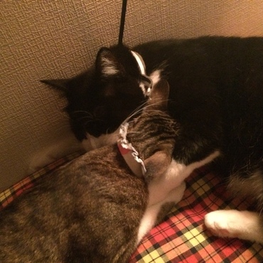 の写真