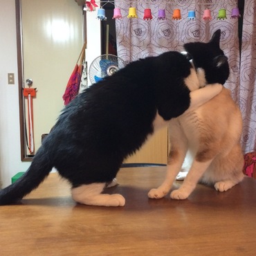 の写真