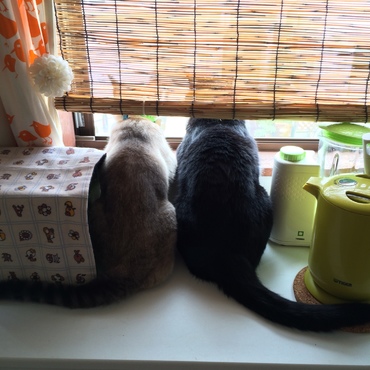 の写真