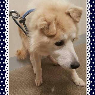 看取りかもしれませんが最期を共に過ごして下さい