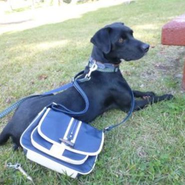 久々にクロちゃんと2人きりで公園へ・・・幼稚園バッグみたい(*´ω｀*)