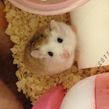 こっちみてる？