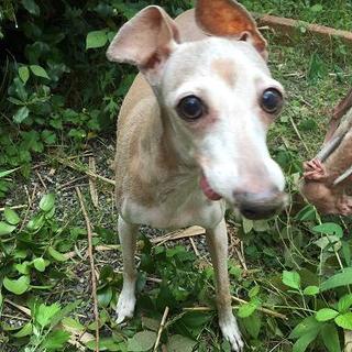 ロザリー、幸せになりました♪