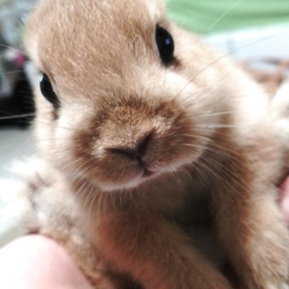 生後５ヶ月元気な男の子です