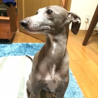 Esther