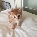 たくさんのご応募ありがとうございました。